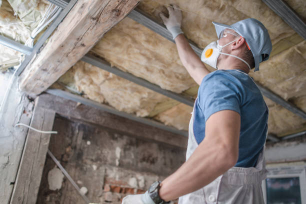 Best Cellulose Insulation  in Reamstown, PA